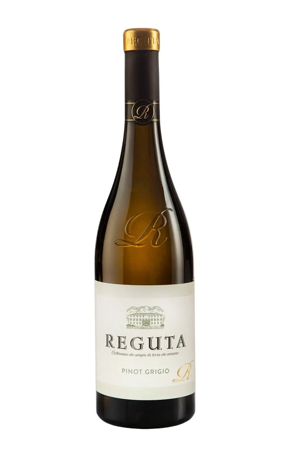Pinot Grigio Pinot Grigio