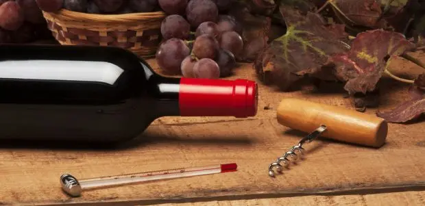 Die richtige Trinktemperatur von Wein