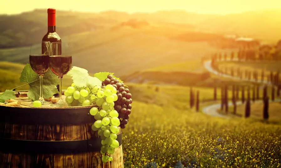 In vino veritas: Italiens Weinbibel, der Gambero Rosso