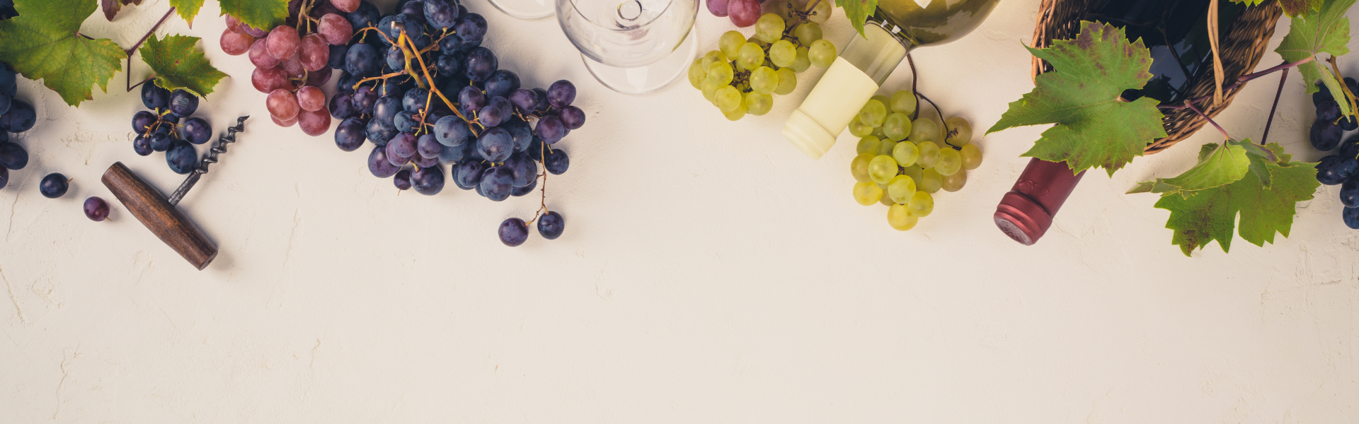 Italiens Weinwelten