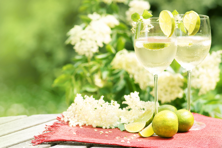 Prosecco – Es muss nicht immer Schampus sein