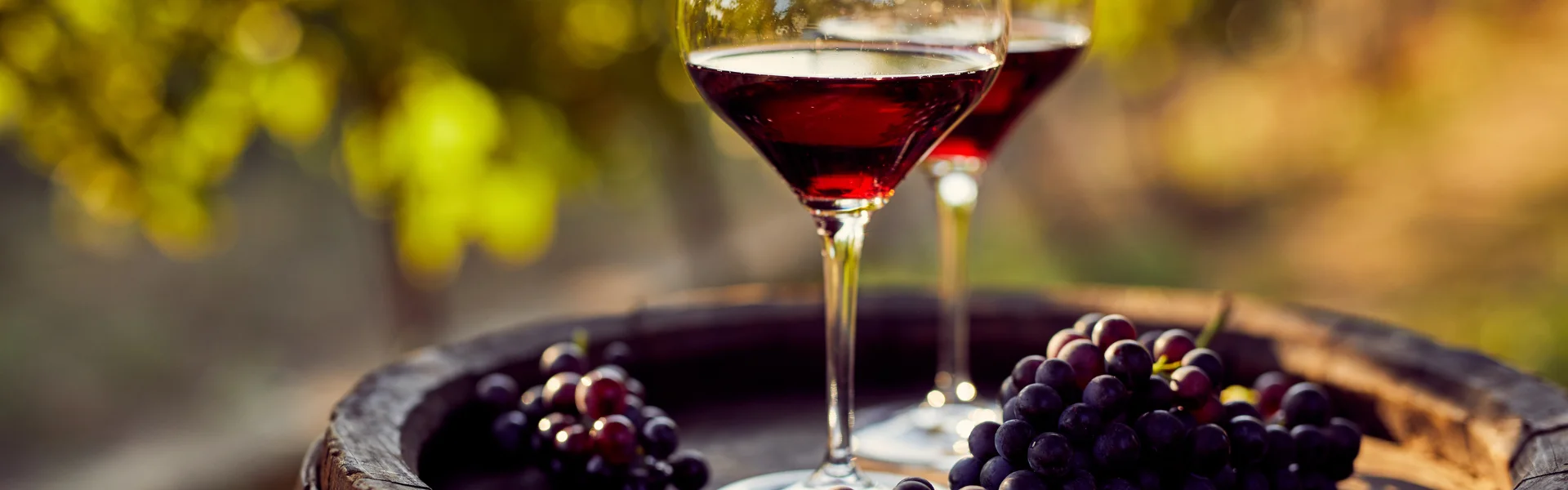 Barolo