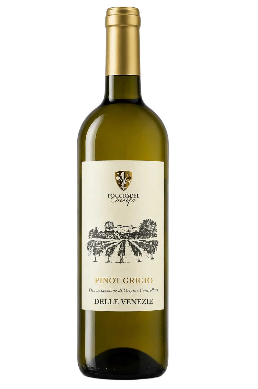 Pinot Grigio