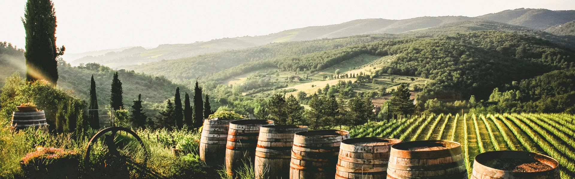 Das Beste aus Italiens Weinregionen