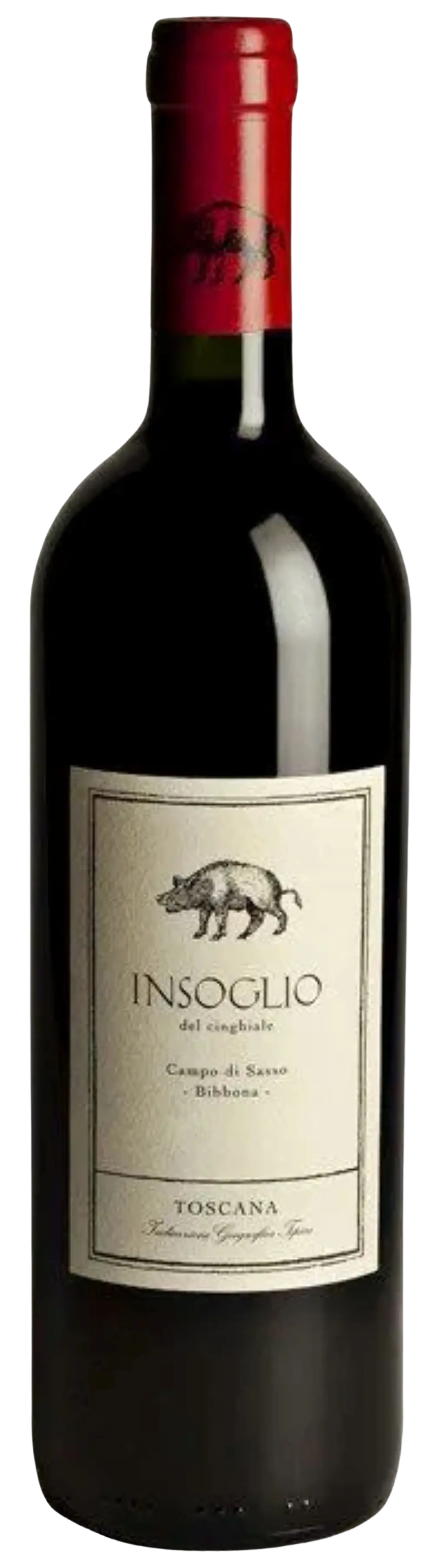 Insoglio del Cinghiale