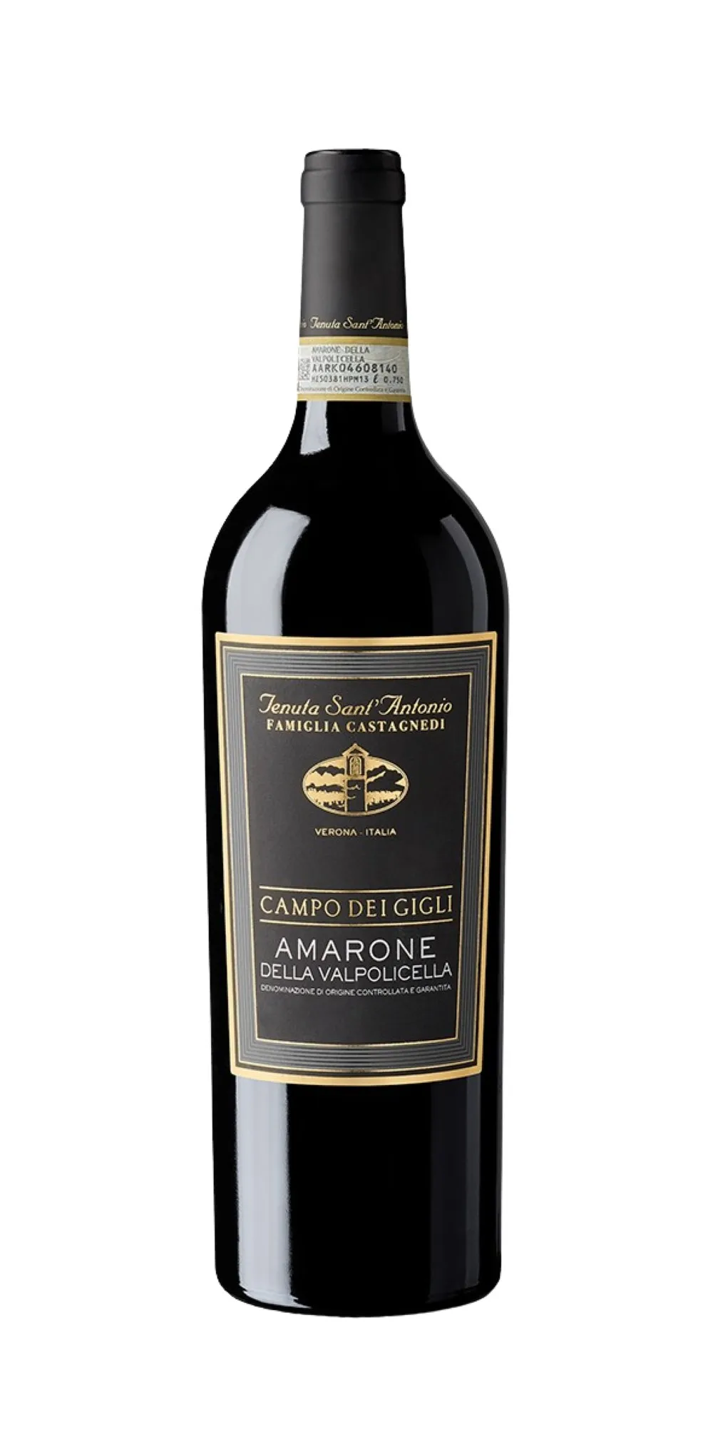 Campo dei Gigli Amarone della Valpolicella
