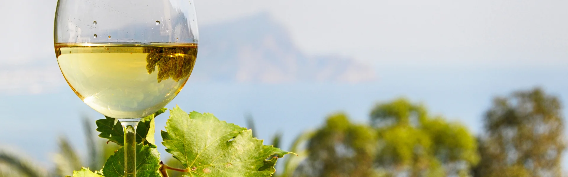 Lugana- Weißwein vom Gardasee