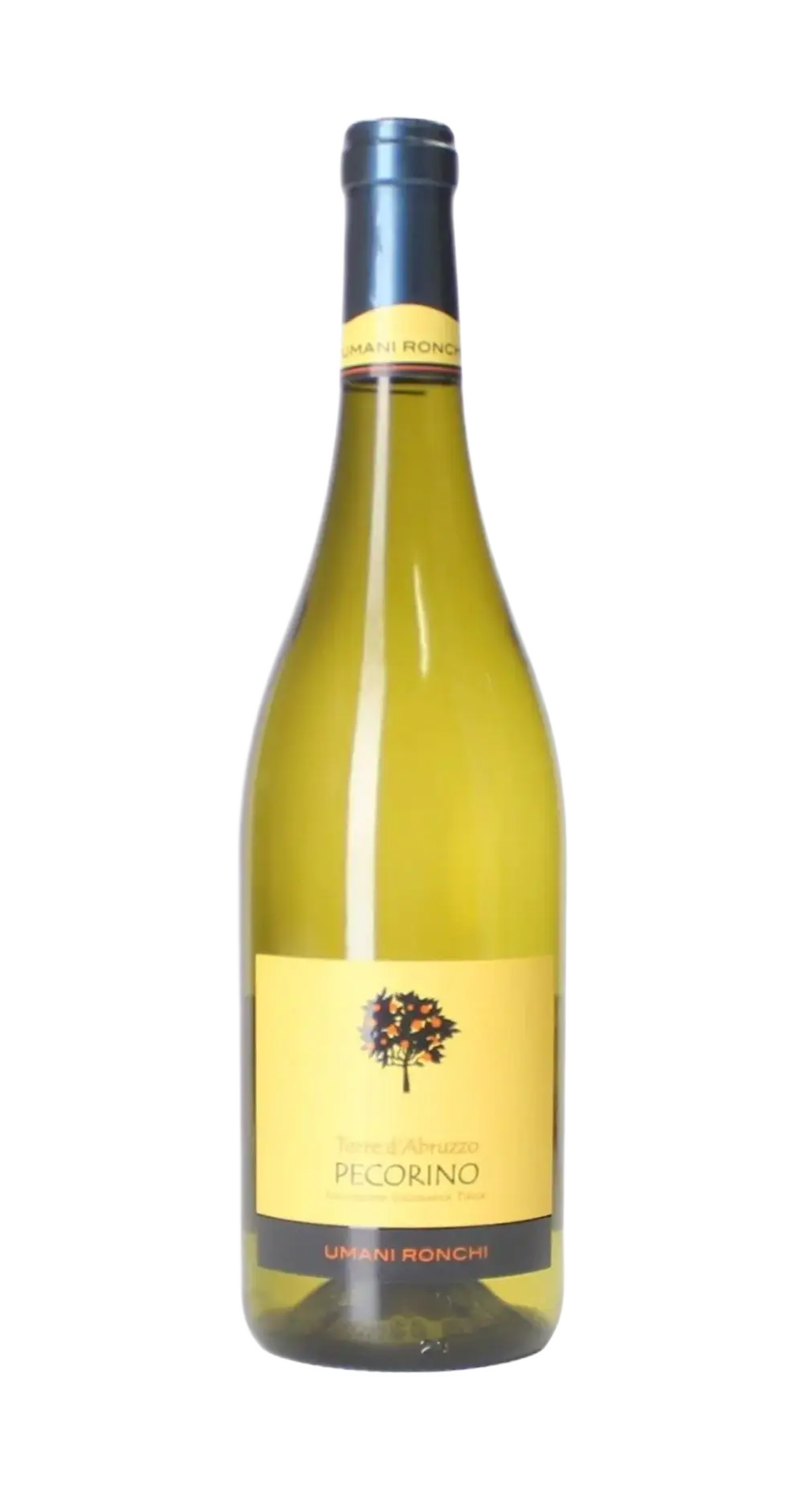Pecorino Terre d' Abruzzo