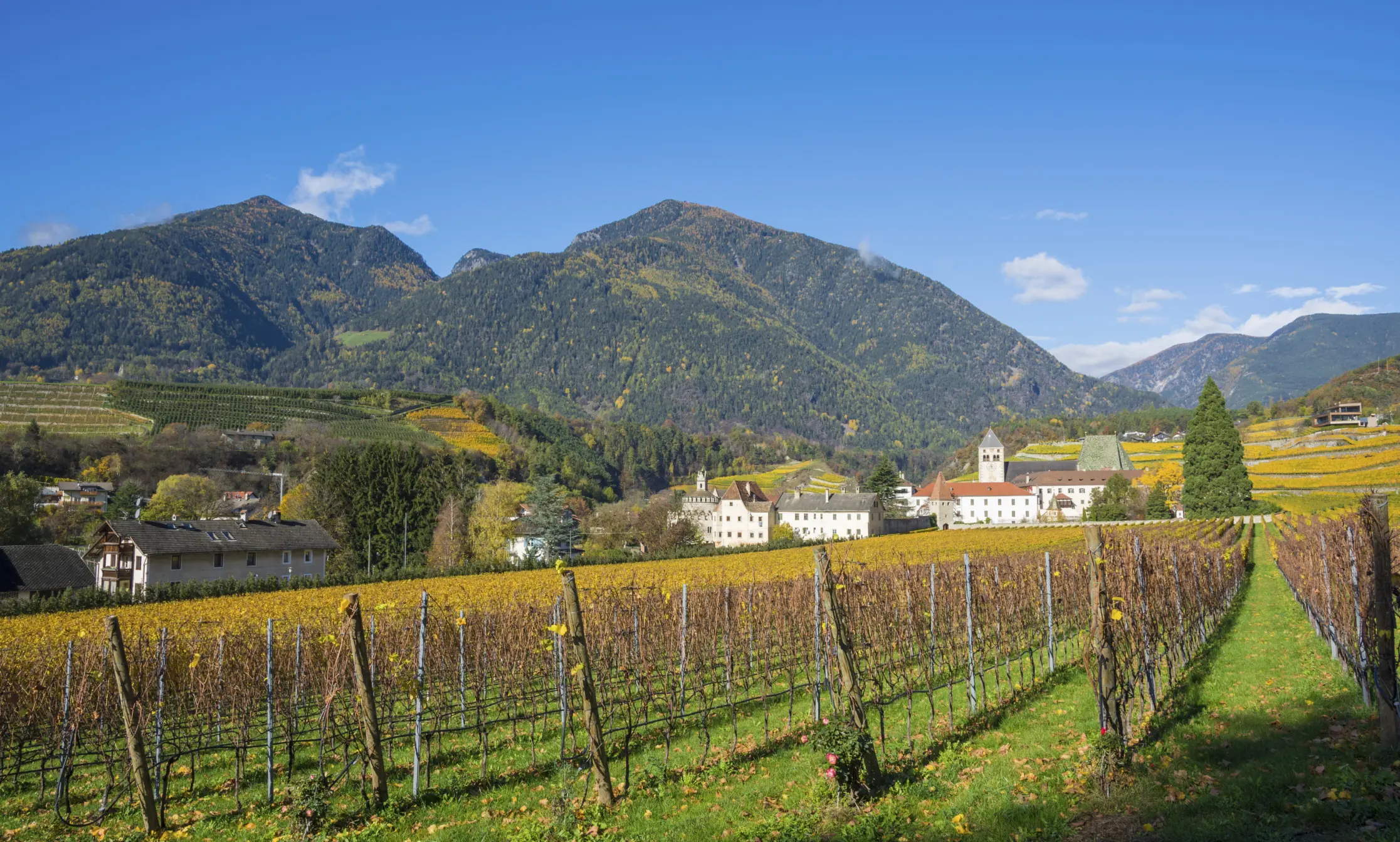 Die schönsten Weinanbaugebiete: Südtirol