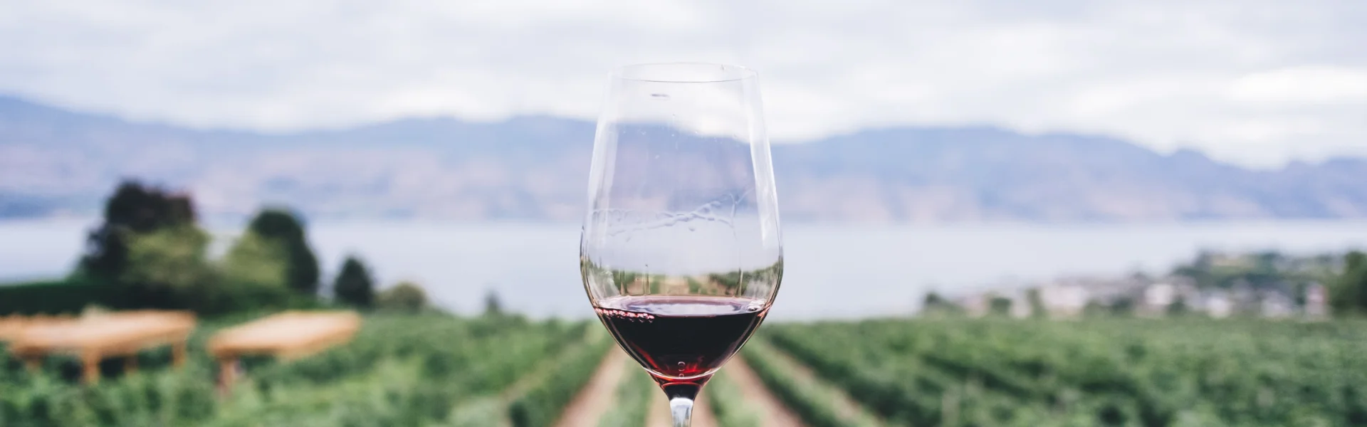 Amarone della Valpolicella