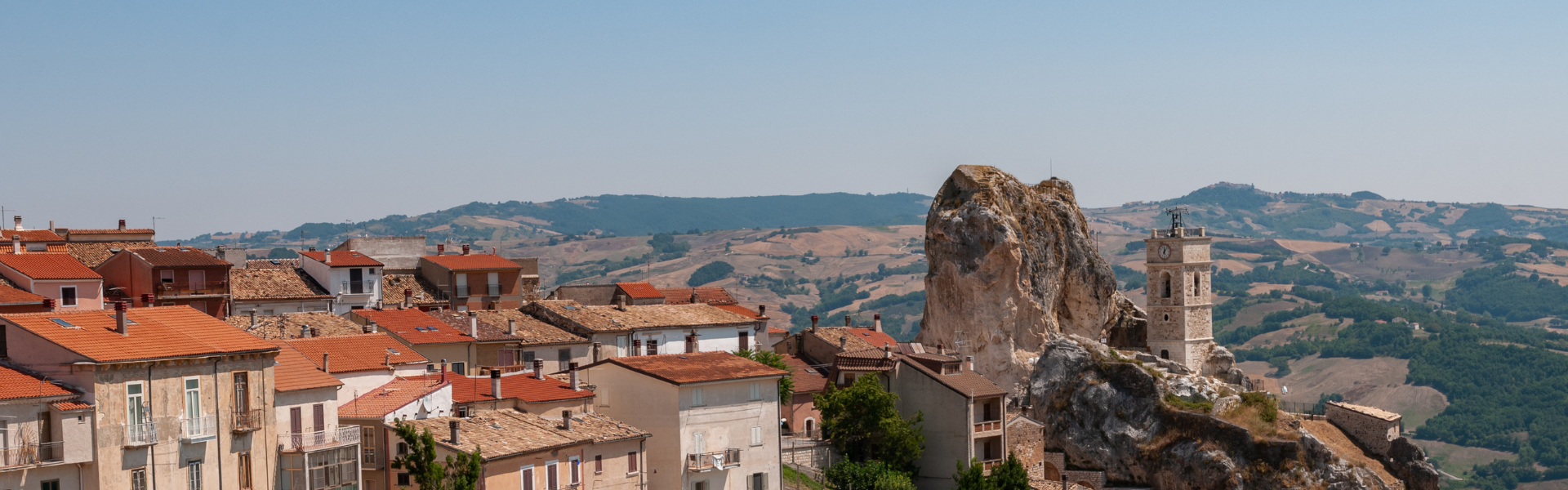 Wein aus dem Molise