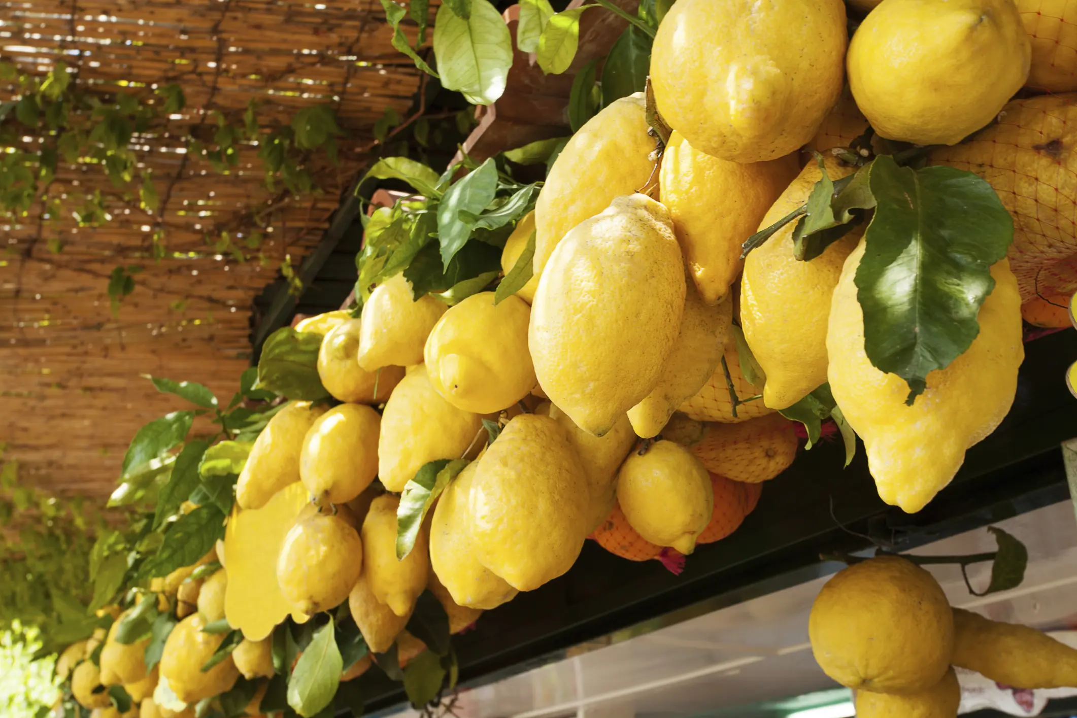 Rezept: Linguine al Limone