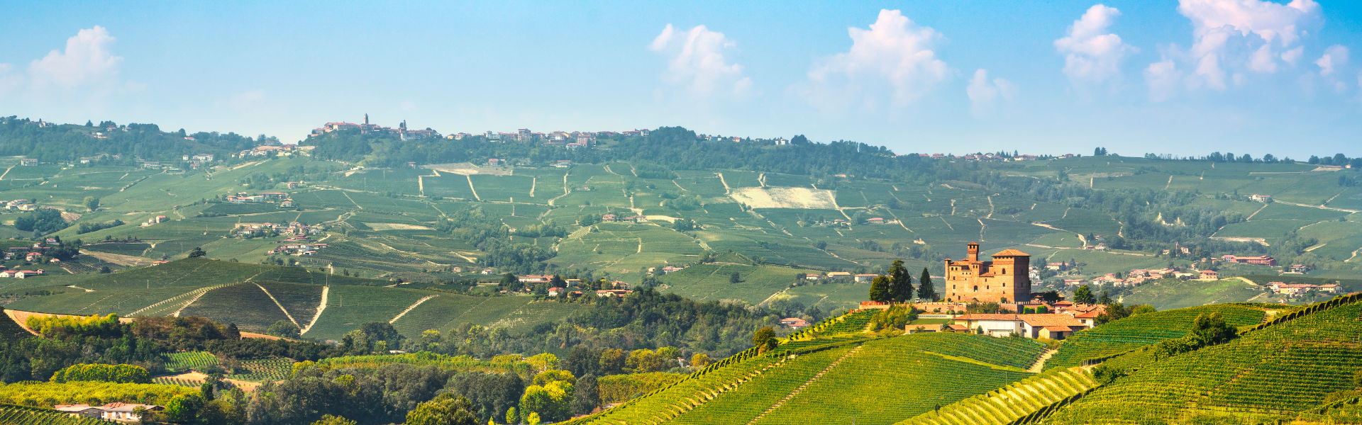 Wein aus dem Piemont