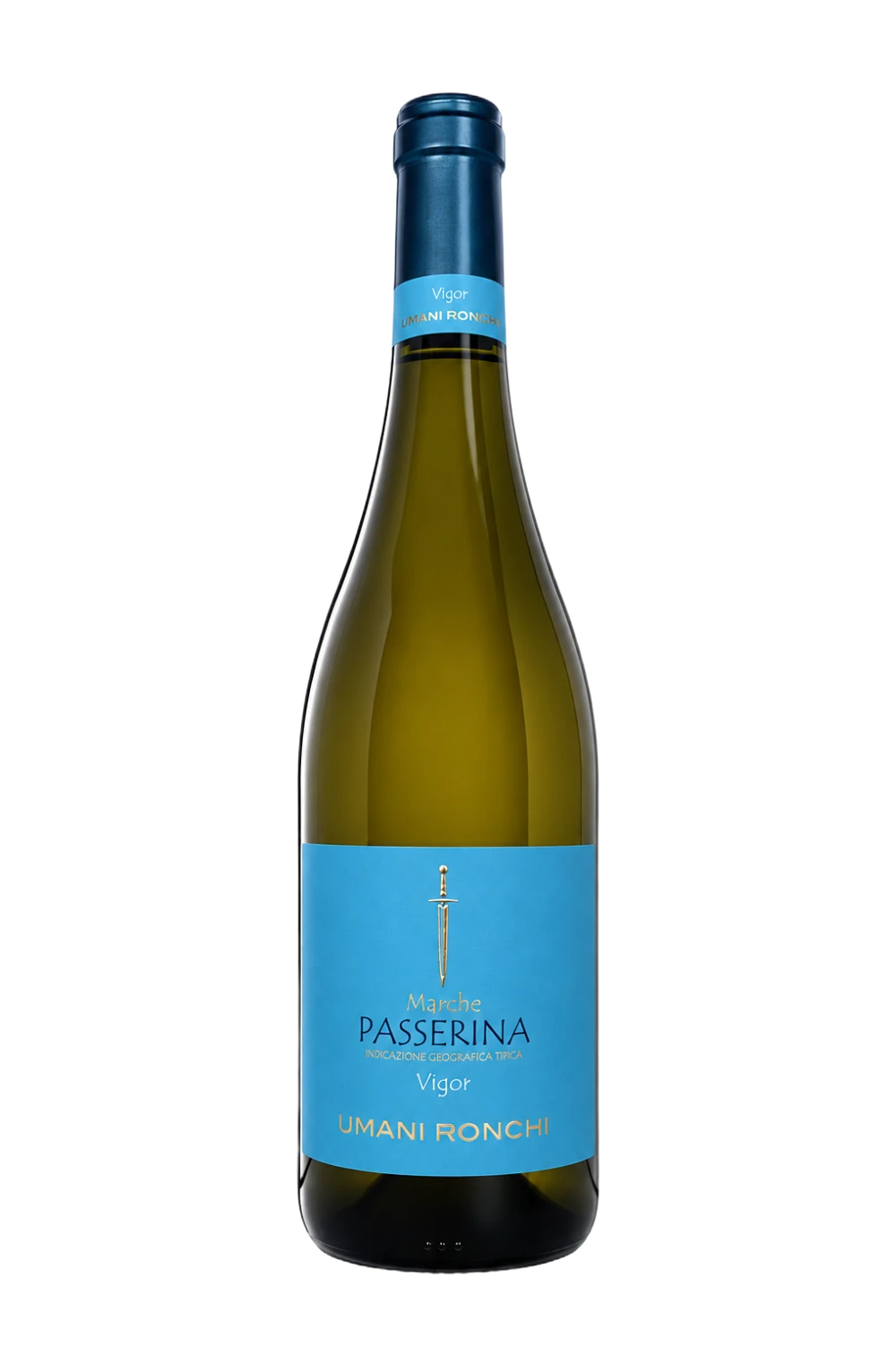 Vigor Marche Passerina
