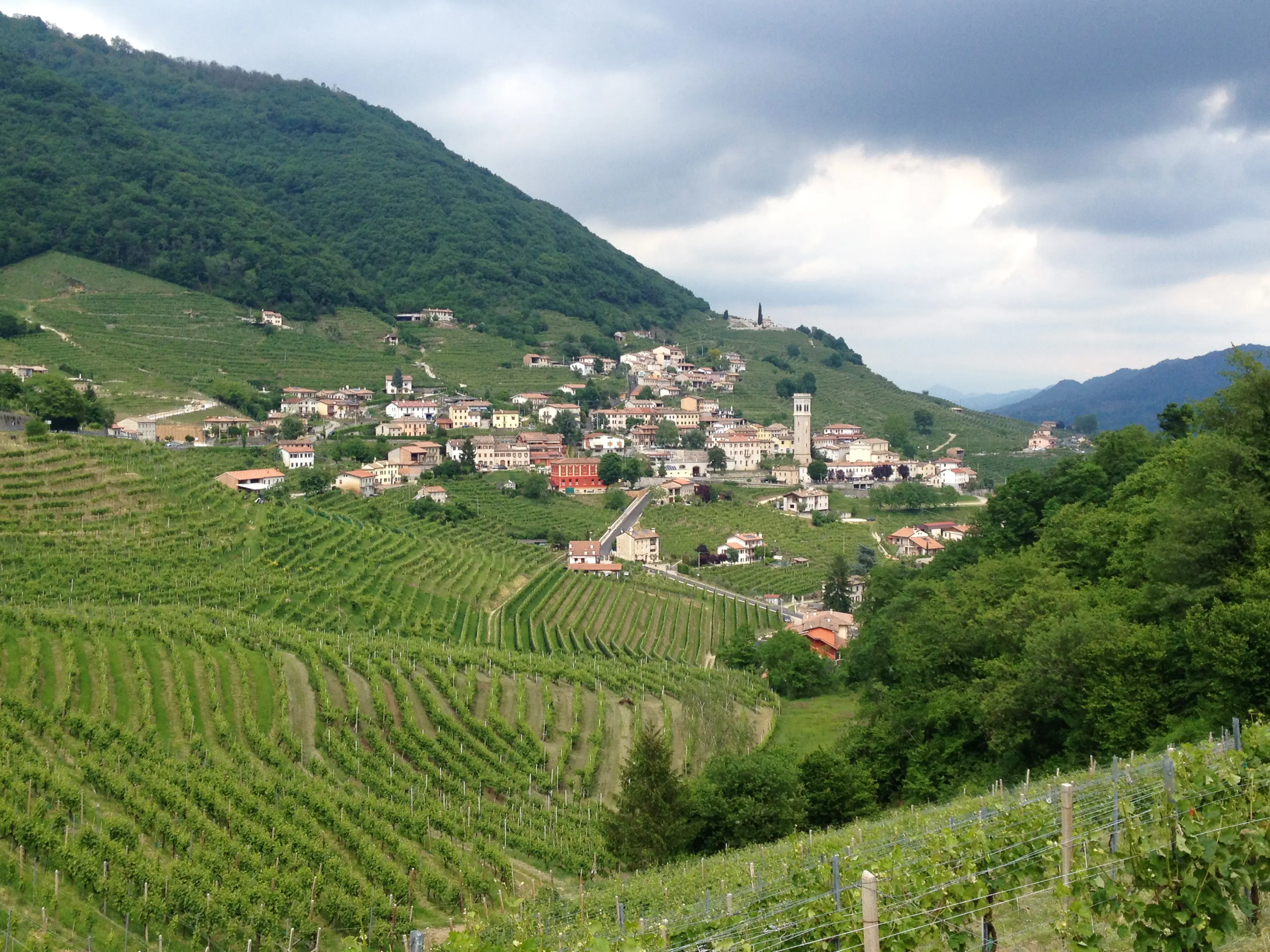 Die schönsten Weinanbaugebiete – Venetien