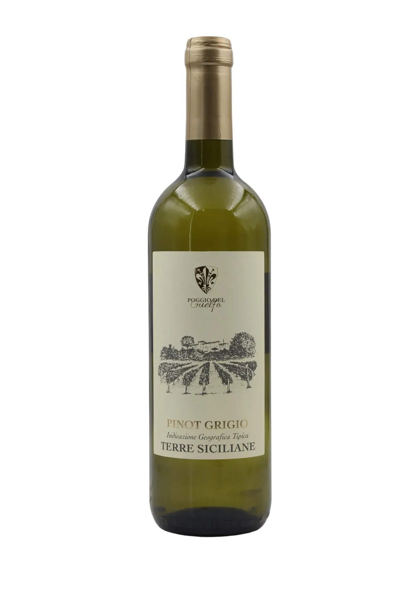 Pinot Grigio Pinot Grigio